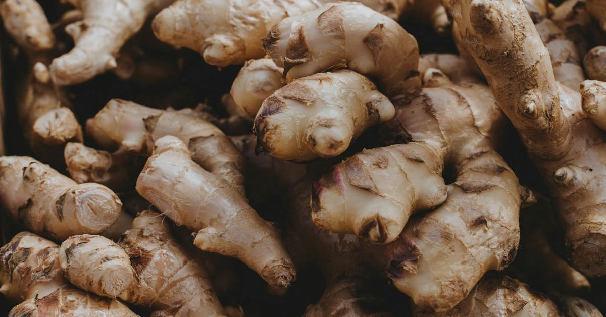 Ginger Benefits | Sanlo Salabat